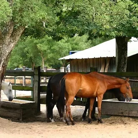 A La 别墅 拉本讷